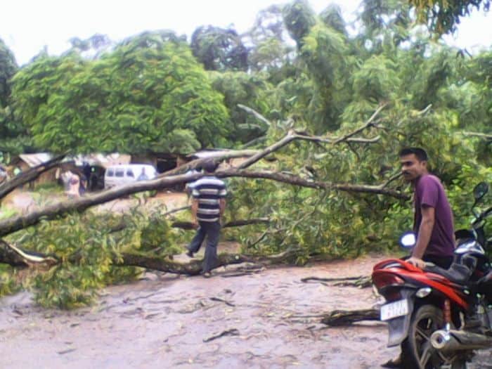 villagers try to pass a fallen tree