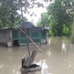 Mitigating Perennial Floods in Assam, a Dream Will Hardly Come True