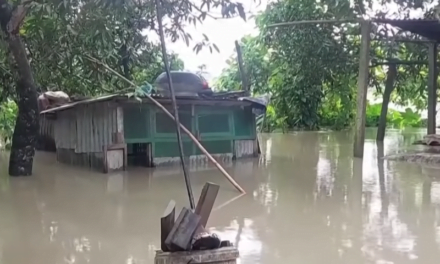 Mitigating Perennial Floods in Assam, a Dream Will Hardly Come True